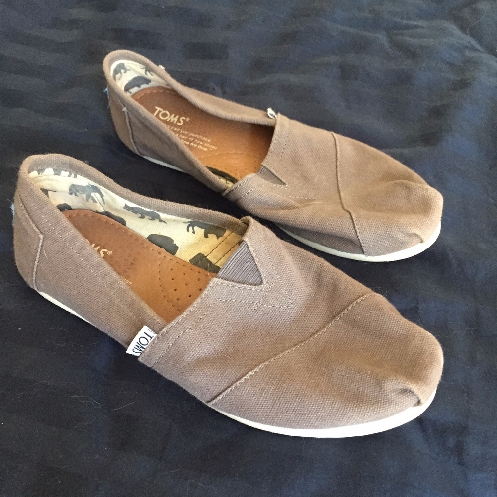 Ash Canvas Women's Classic- Size 7  TOMS